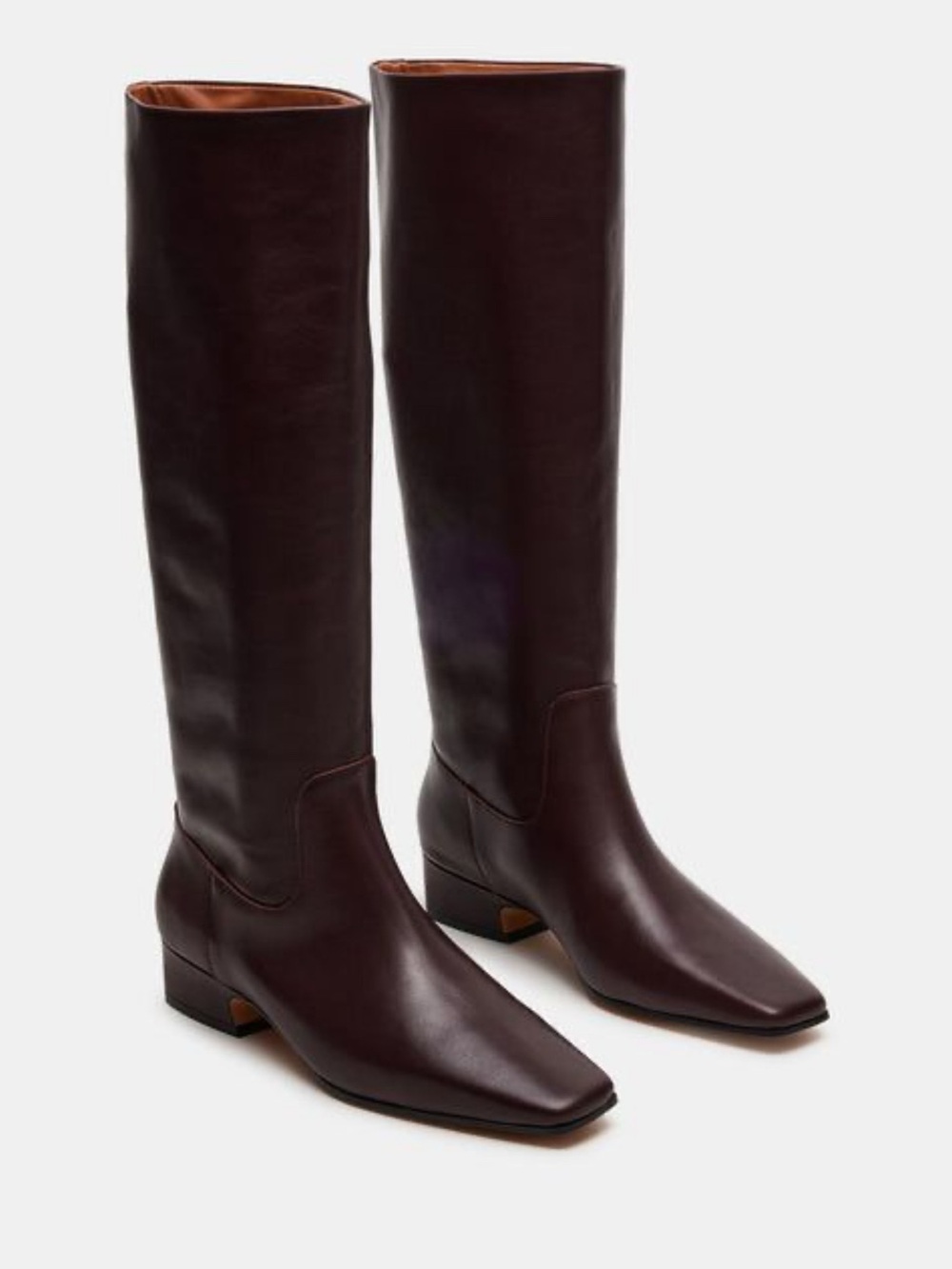 Steve Madden GWYNETH Tall Women's Leather Riding Boots - red Dark Brown